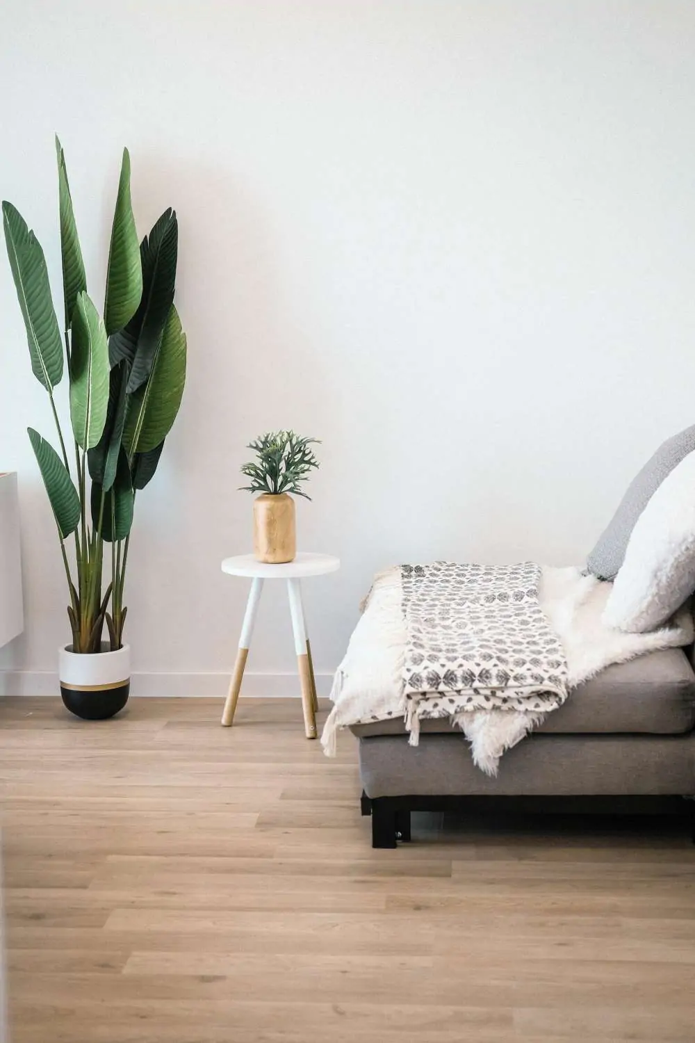 Salon clair avec canapé et plantes